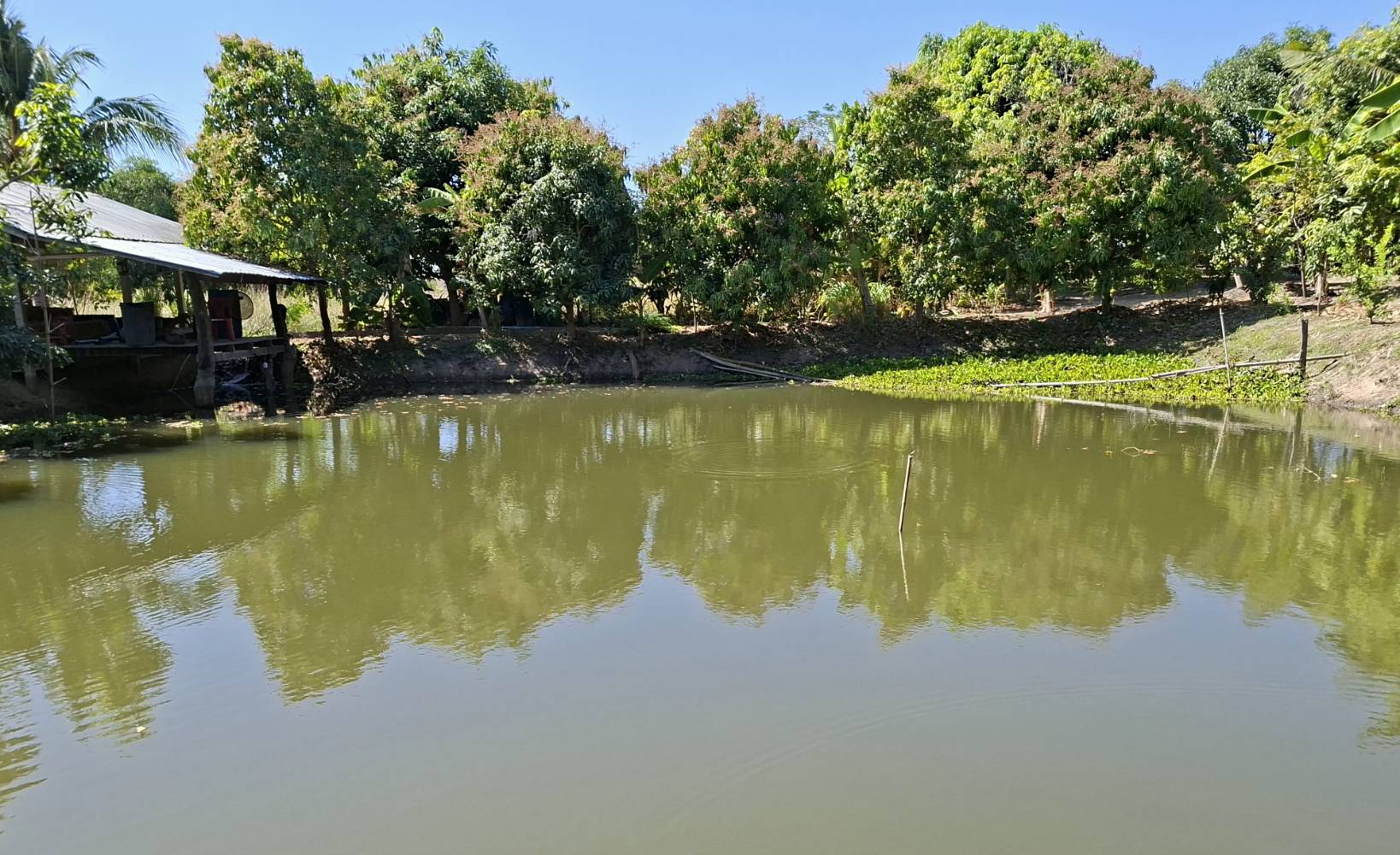 title - ผู้ตรวจราชการ ส.ป.ก. ประชุมตรวจราชการและติดตามความก้าวหน้าผลการดำเนินงานตามแผนการตรวจราชการของผู้ตรวจราชการสำนักงานการปฏิรูปที่ดินเพื่อเกษตรกรรม ประจำปีงบประมาณ พ.ศ. 2569 รอบที่ 1 เขตตรวจราชการที่ 14 จังหวัดยโสธร